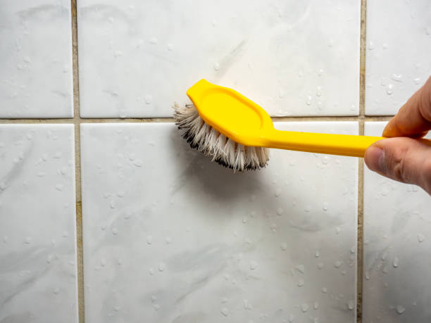 Best Professional Mold Removal  in Hrison, AR