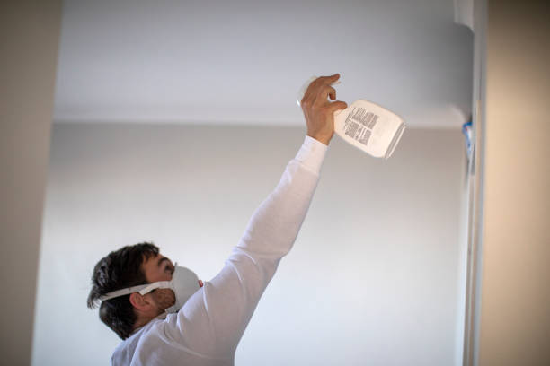 Best Mold Damage Repair  in Hrison, AR