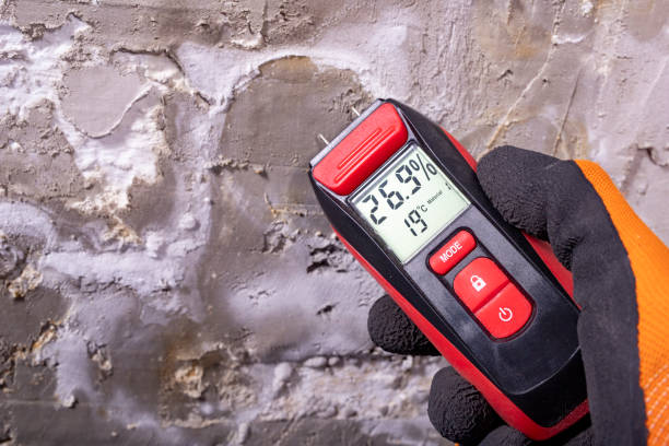 Best Best Mold Removal Companies  in Hrison, AR
